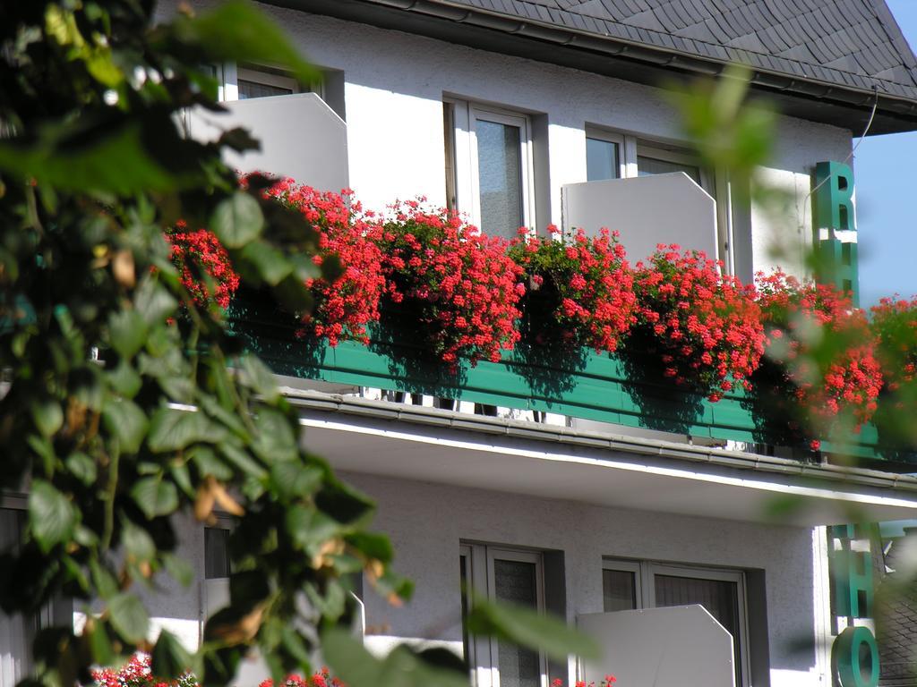 Rheinhotel Ruedesheim - Wellness Rüdesheim am Rhein Exteriör bild